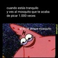 Al fin atrape un mosquito