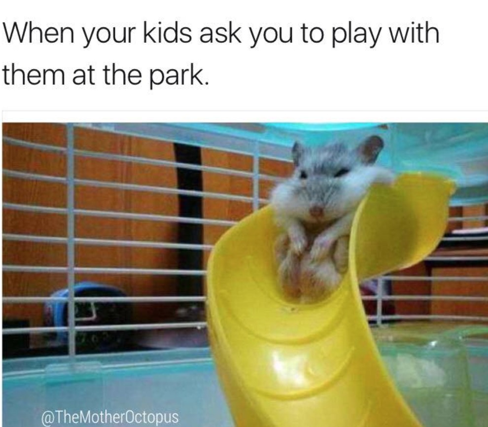 When your kids ask you to play with them at the park - meme