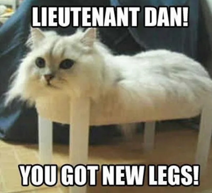 You got new legs!? - meme