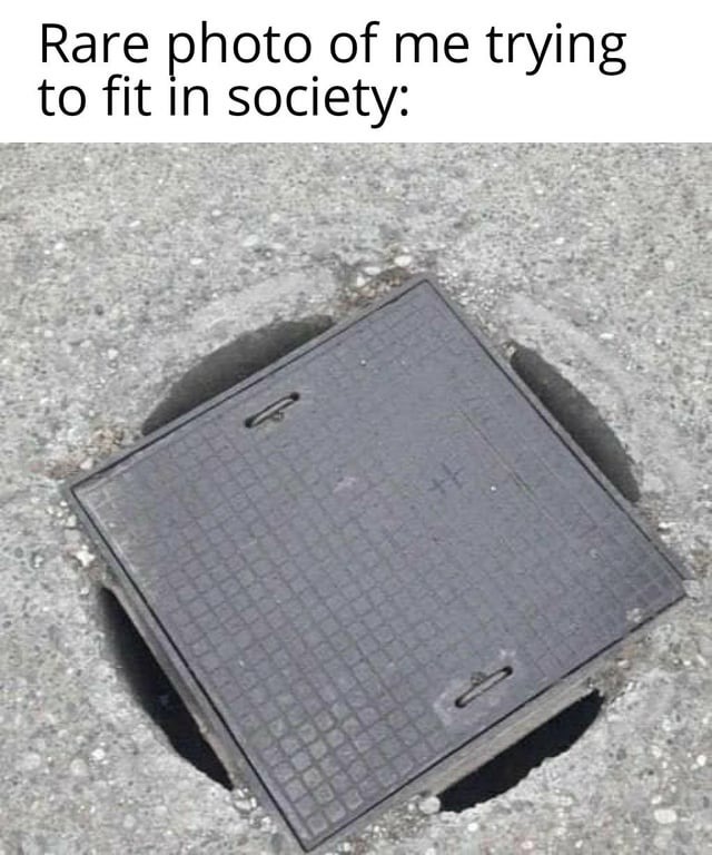 Fitting in society - meme