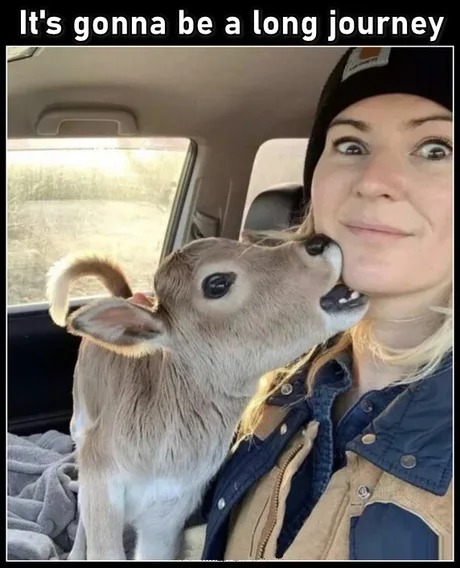 He loves her! - meme
