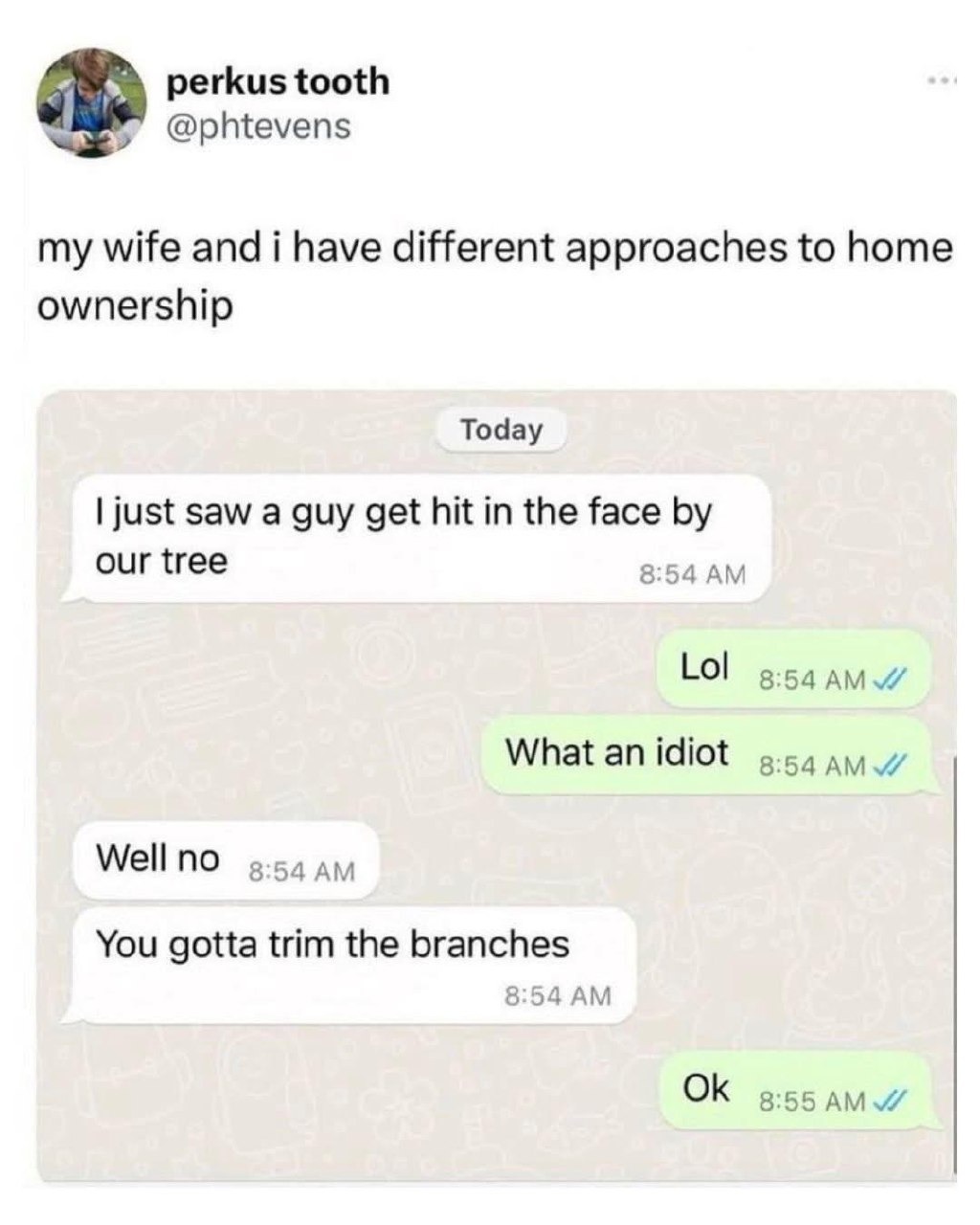 Our tree just assaulted a guy and my wife said it’s his fault - meme