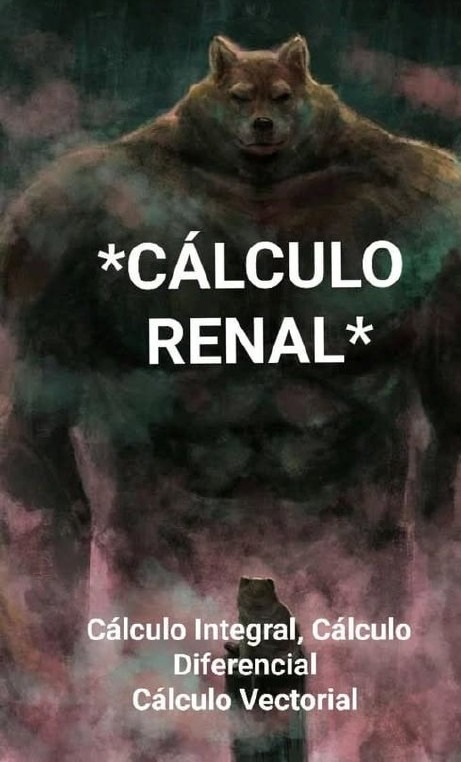 Cálculo renal o cálculo integral... igual duele - meme