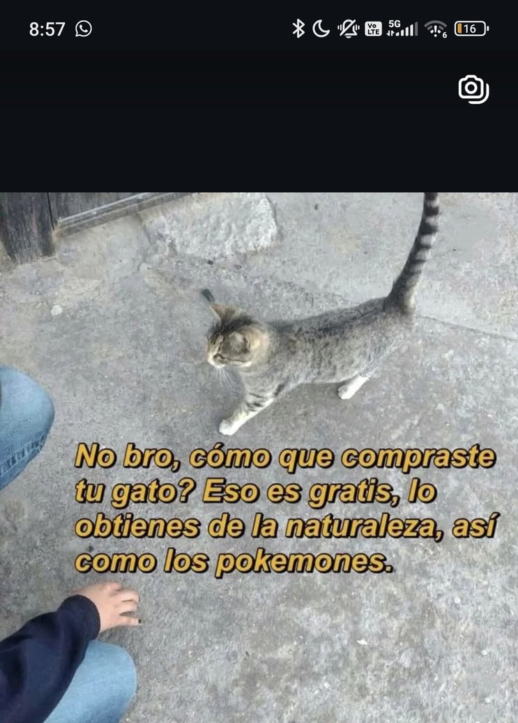 Bro todo eso es gratis, lo sacas del aire como los pokemones - meme
