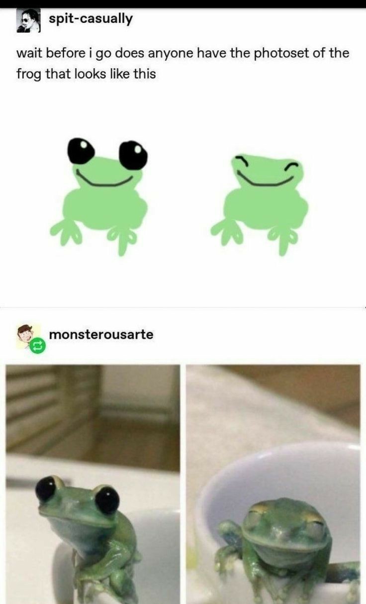 I love frogs so much - meme