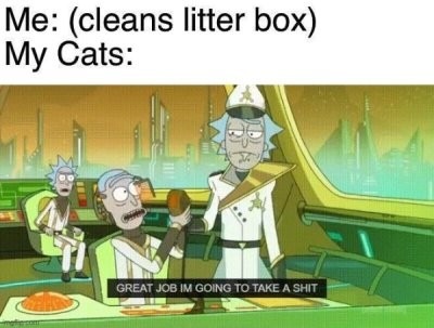 It's clean - meme