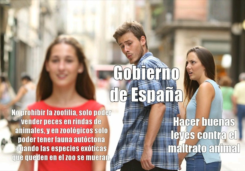 En fin, leyes de España - meme