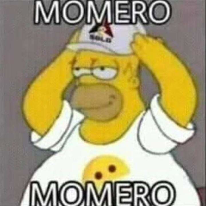 Homero momero - meme