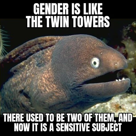 Gender is like the twin towers - meme