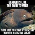 Gender is like the twin towers