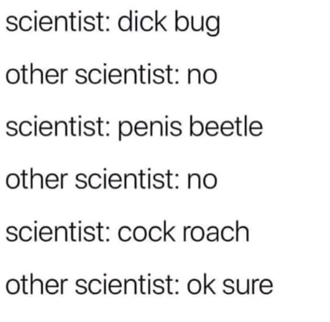 Still like dick beetle... - meme