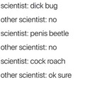 Still like dick beetle...