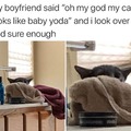 Baby Yoda cat meme