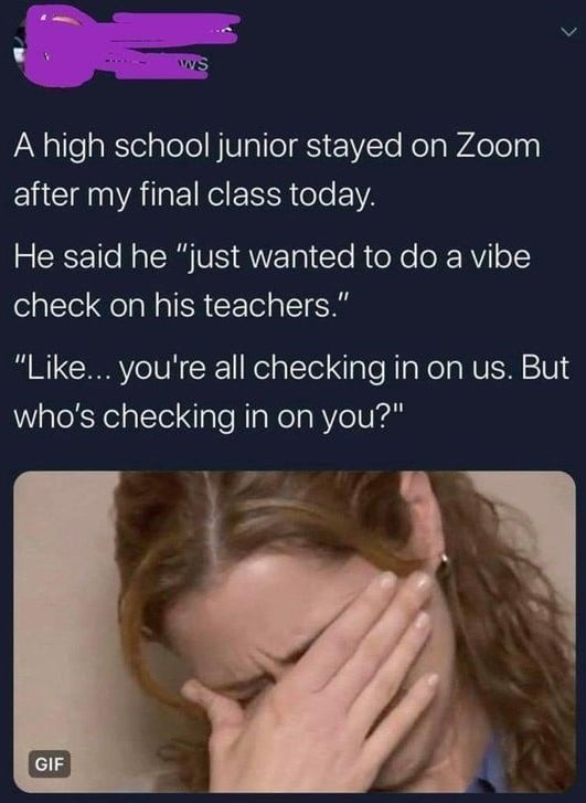 Vibe check on teachers - meme
