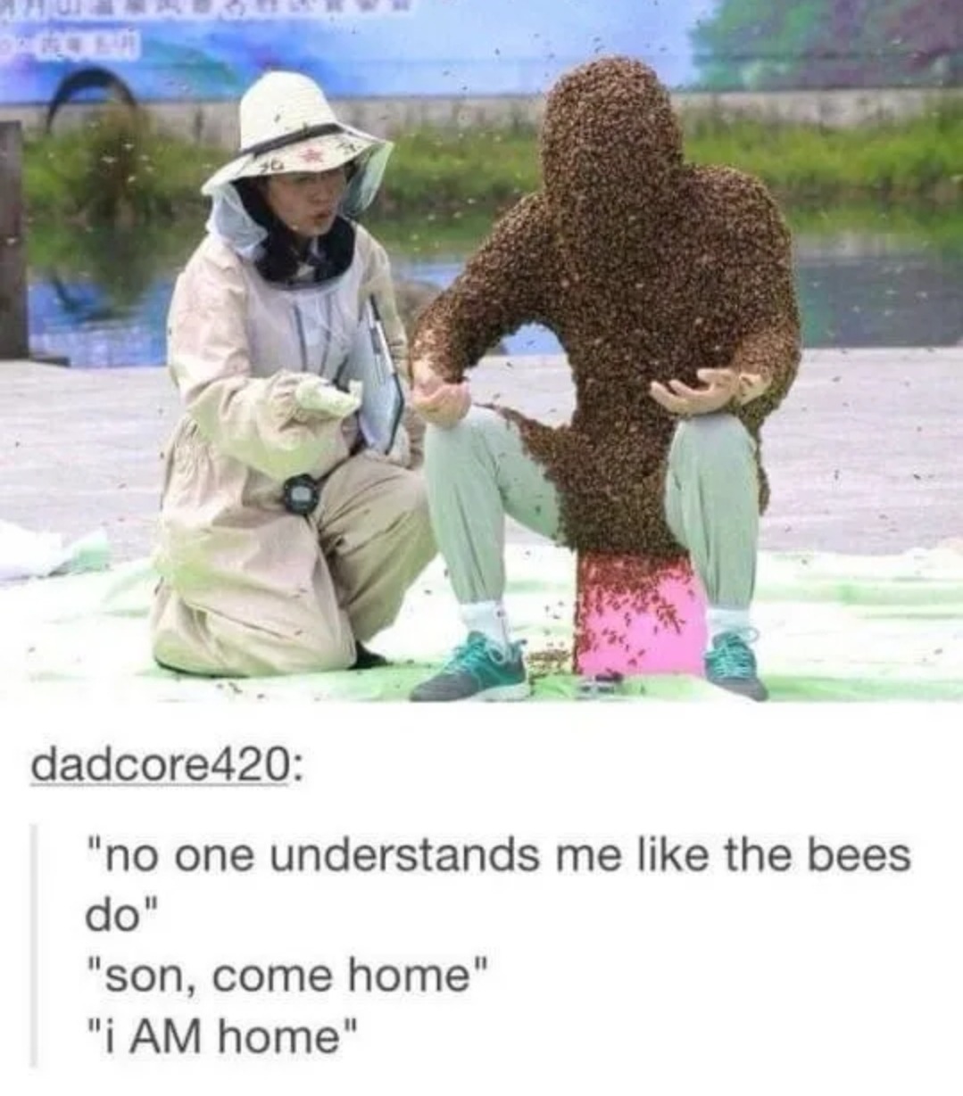 Home with the bees - meme