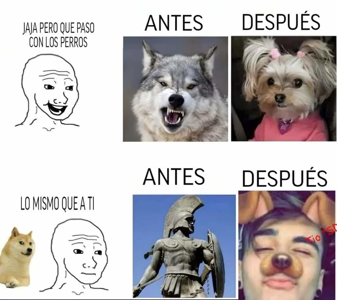 Sí - meme