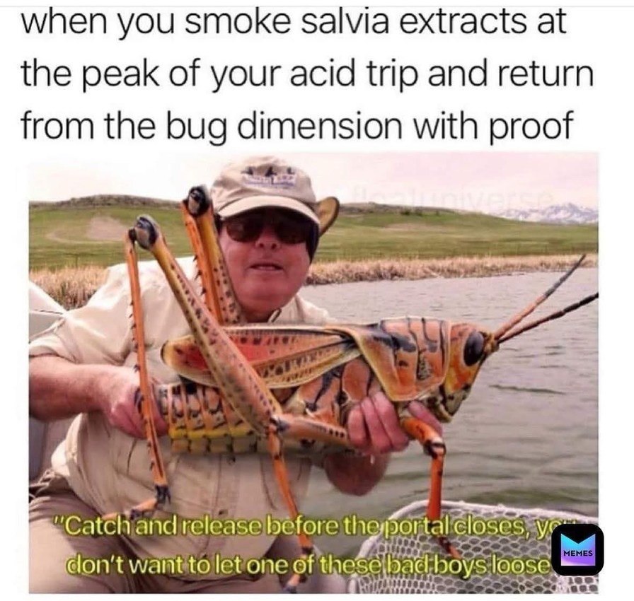Returning from another dimension with proof, don’t drop it - meme