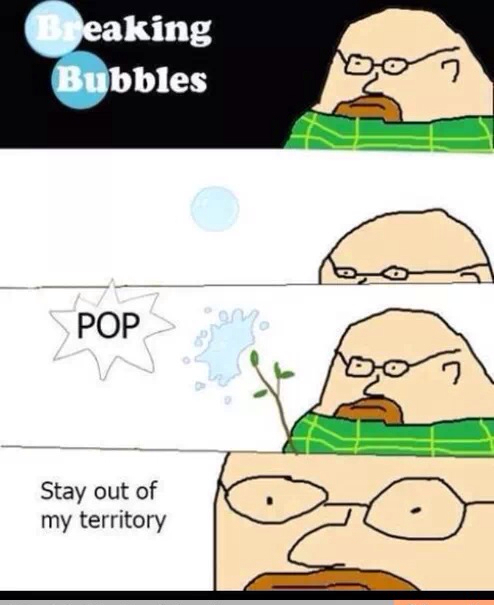 Breaking Bubbles - meme