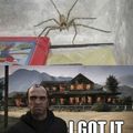 como matar uma aranha