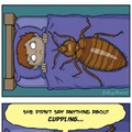 bed bugs are creepy