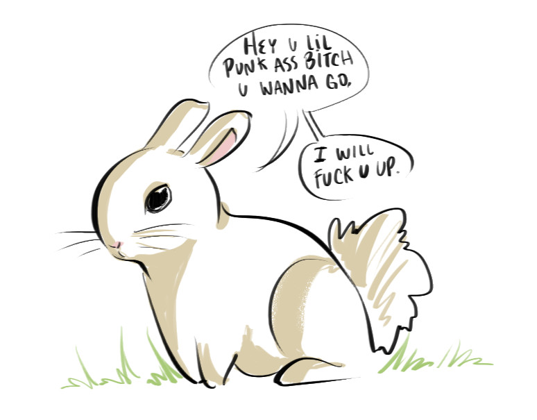bunny! - meme