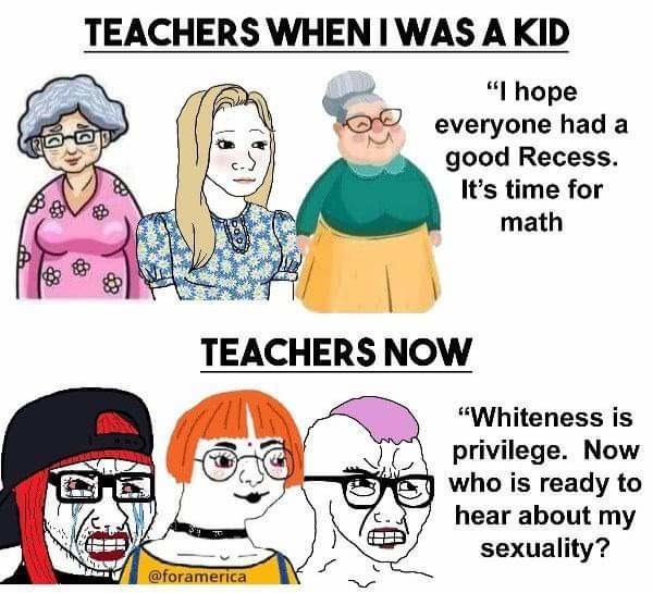 Leftist teachers be like - meme