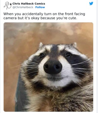 Funny raccoon face!! - meme