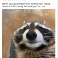 Funny raccoon face!!