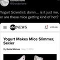 Yogurt makes mice slimmer