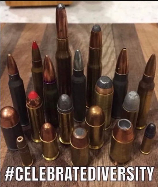 Diversity - meme
