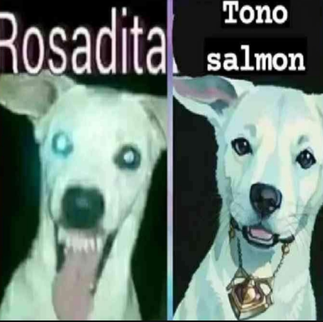 Tono salmón - meme