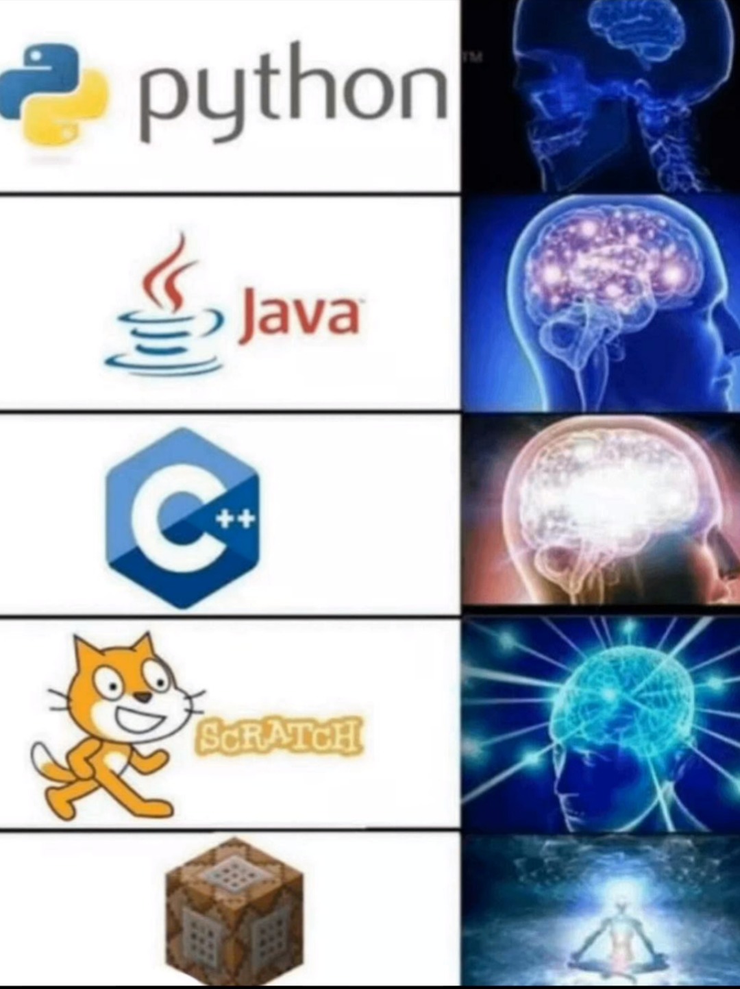 Programadores - meme