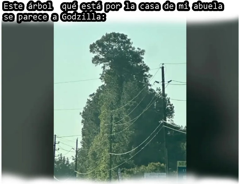 Malardium - meme