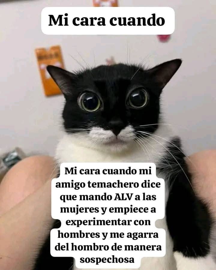 Tutorial como activar el botón de modo guerra - meme