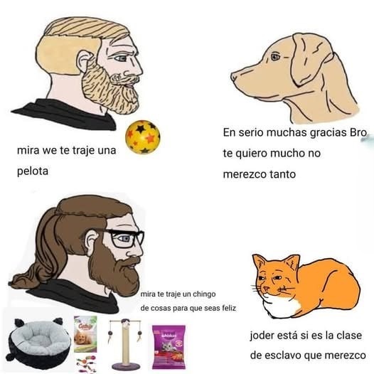 perro god - meme