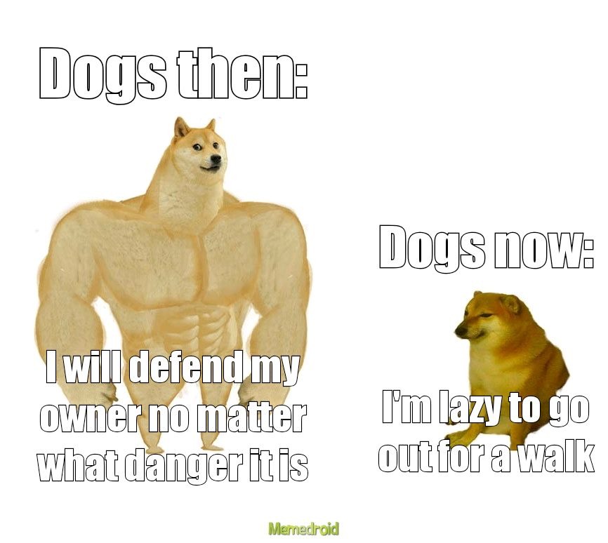 Dogs then vs dogs now - meme