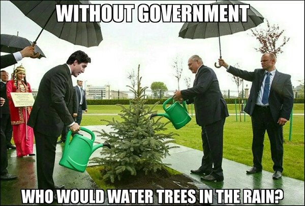 Who will water in the rain? - meme