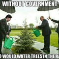 Who will water in the rain?