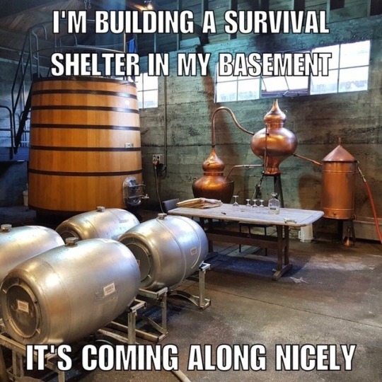 Survival Shelter - meme