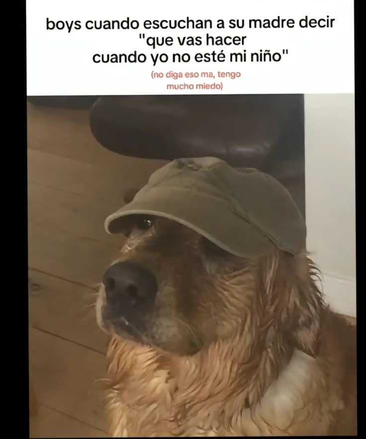 Que le dirian - meme