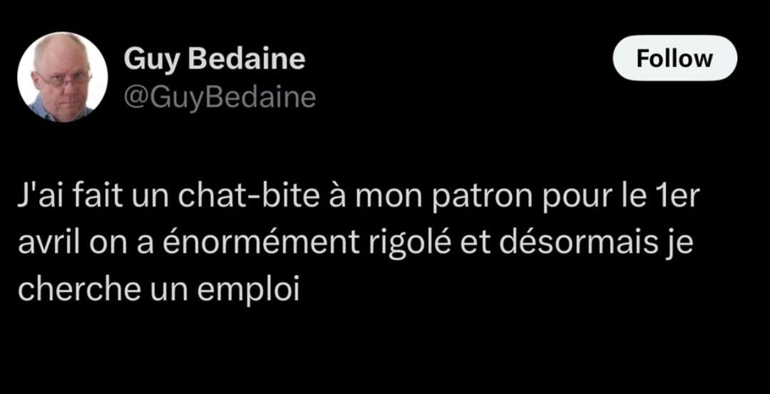 1er avril, chat-bite au patron = chômage immédiat - meme