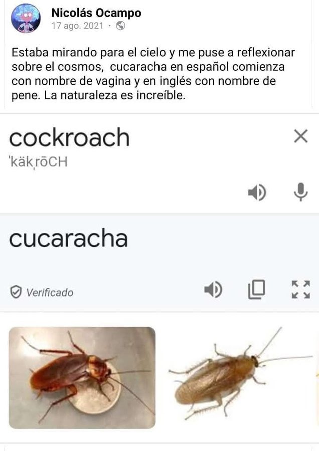 Hummm - meme