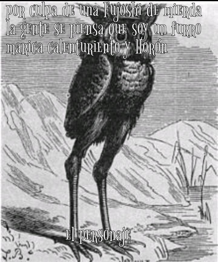 Si, stolas existe en la demonología, lo cual me entristece sabiendo como lo conocen en la cultura popular - meme