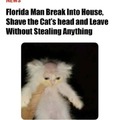 Breaks into house, shave cats head, refuses to elaborate further, leaves