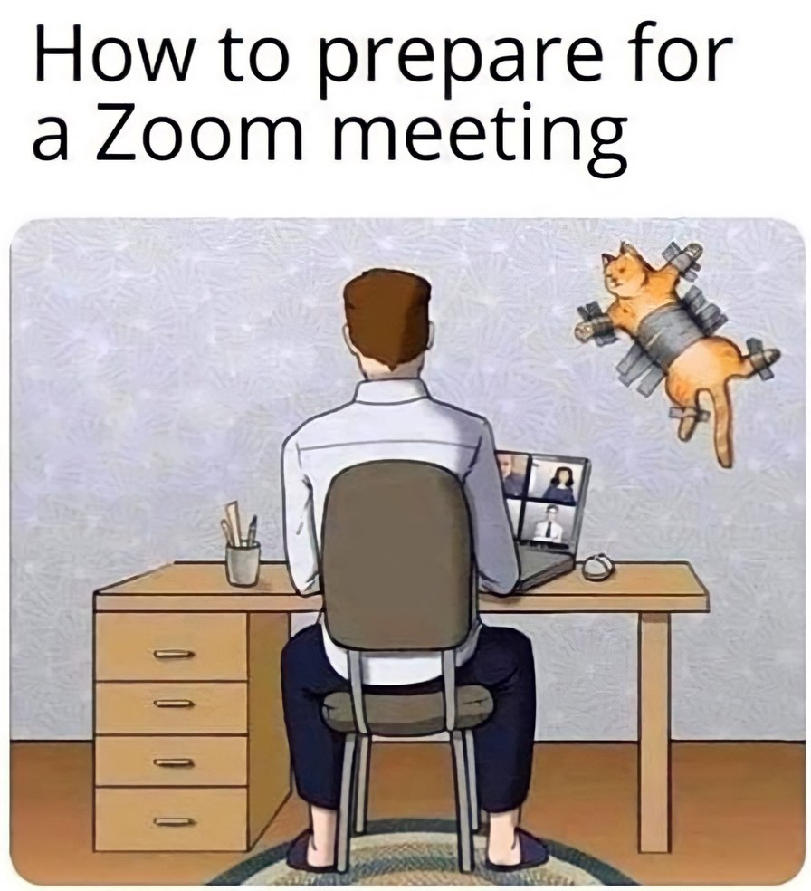 How to prepare for a Zoom meeting - meme