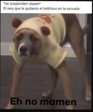 Shitpost de un perro - meme