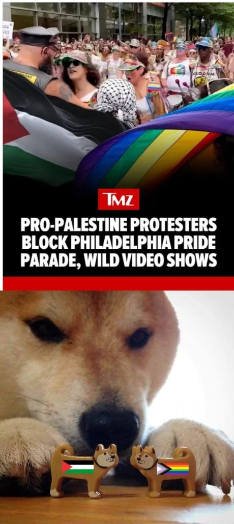 Pro Palestine vs Pride Parade - meme