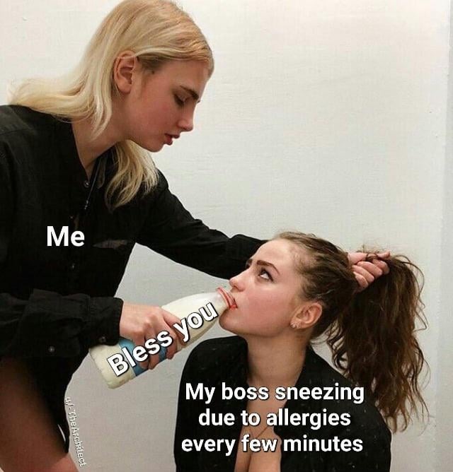 Allergic sneezing meme
