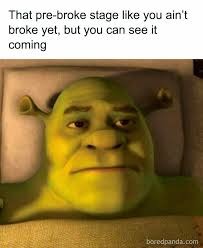 Yep - meme