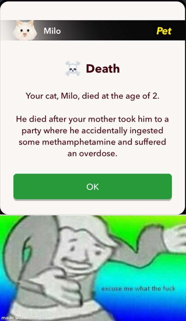 Your cat, Milo, died at the age of 2 - meme